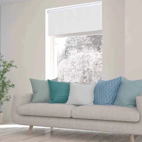 Blackout Roller Shades Exclusive  